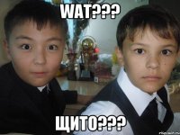WAT??? ЩИТО???
