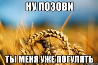 Ну позови ты меня уже погулять