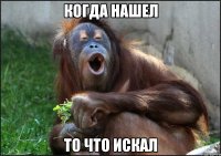 когда нашел то что искал
