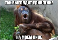 так выглядит удивление на моем лице