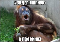 Увидел жирную В лоссинах