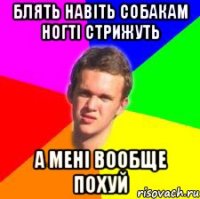 блять навіть собакам ногті стрижуть а мені вообще похуй
