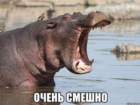  ОЧЕНЬ СМЕШНО