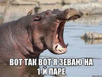  вот так вот я зеваю на 1-й паре