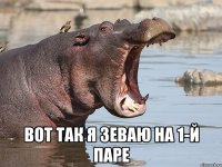  вот так я зеваю на 1-й паре