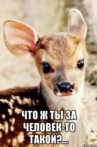  Что ж ты за человек-то такой?...