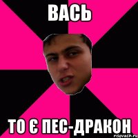 Вась то є пес-дракон