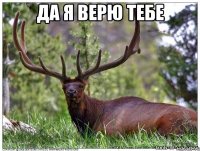 да я верю тебе 