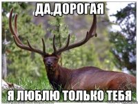 да,дорогая я люблю только тебя
