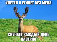 улетел в Египет без меня скучает каждый день наверно
