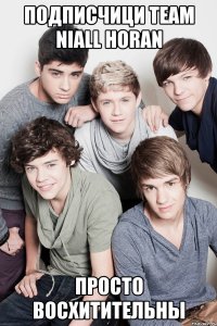 ПОДПИСЧИЦИ TEAM NIALL HORAN ПРОСТО ВОСХИТИТЕЛЬНЫ