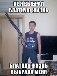 не я выбрал блатную жизнь блатная жизнь выбрала меня