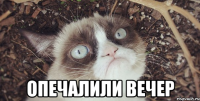  опечалили вечер