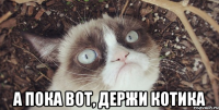  а пока вот, держи котика