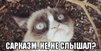  сарказм. не, не слышал?