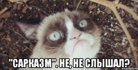  "сарказм". не, не слышал?