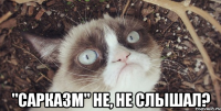  "сарказм" не, не слышал?