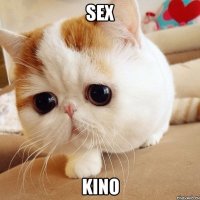 Sex Kino