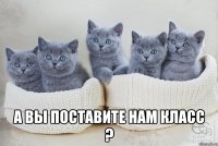  а вы поставите нам класс ?