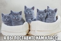  а вы поставите нам класс