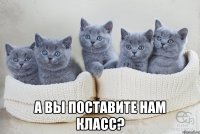  а вы поставите нам класс?