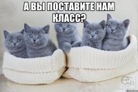 а вы поставите нам класс? 