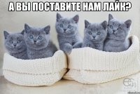 а вы поставите нам лайк? 