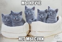 Мы круче Нет мы суки