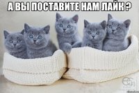 а вы поставите нам лайк ? 