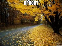 Просит 