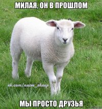 милая, он в прошлом мы просто друзья