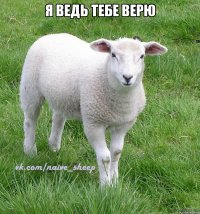 я ведь тебе верю 