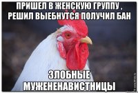 Пришел в женскую группу , решил выебнутся получил бан Злобные мужененавистницы