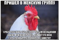 Пришел в женскую группу Сразу побежал объяснять тупым женщинам какие мужики крутые . Думал что мой скрытый баттхерт никто не заметит