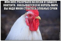 Мой анус разорвало на куски от вашего контента . Оказывается я не король мира вы надо мной стебетесь злобные сучки 