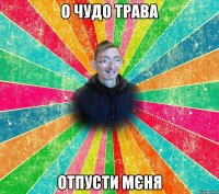 О чудо трава Отпусти мєня