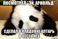 Посмотрел "Эй, Арнольд" Сделал в кладовке алтарь в честь неё
