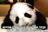  Мечтаю сломать позвоночник, тогда она от меня никуда не денется
