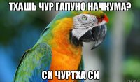 тхашь чур гапуно начкума? си чуртха си