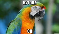 кутоле си