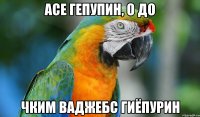 асе гепупин, о до чким ваджебс гиёпурин