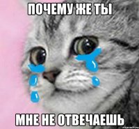 почему же ты мне не отвечаешь