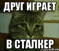 друг играет в сталкер
