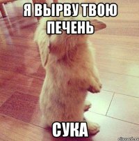 я вырву твою печень сука