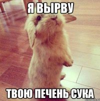 я вырву твою печень сука