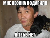 мне песика подарили а тебе нет