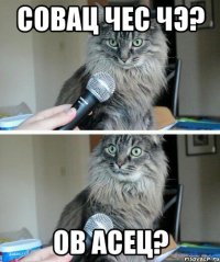 совац чес чэ? ов асец?