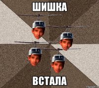 ШИШКА ВСТАЛА