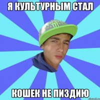 я культурным стал кошек не пиздию