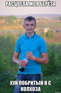 Расцвела моя берёза хуй побритый я с колхоза